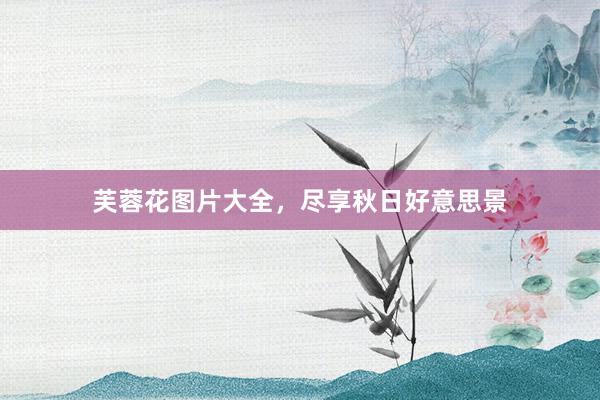芙蓉花图片大全，尽享秋日好意思景