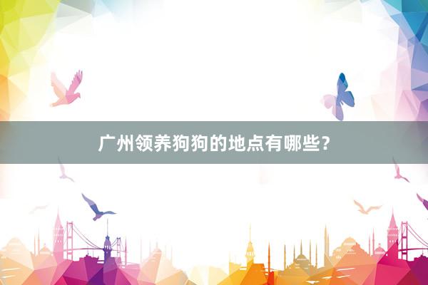 广州领养狗狗的地点有哪些？